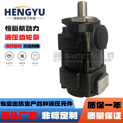 德国布赫油泵QX QXV QXEH QXM QXT QT液压泵高压油泵BUCHER齿轮泵