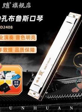 敦煌Ｄ240824孔复音口琴初学成人专业电商