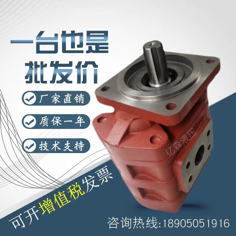 济南泉城打桩机用齿轮泵