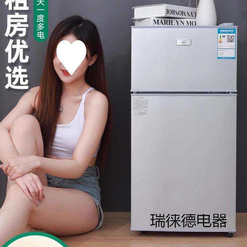 小冰箱家用小型宿舍出租房冷冻冷藏迷你双开门电冰箱一级节能省电