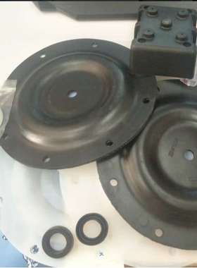 （S K Y L I N K  正 品 ） 斯 凯 力    气 动 隔 膜 泵  配 件