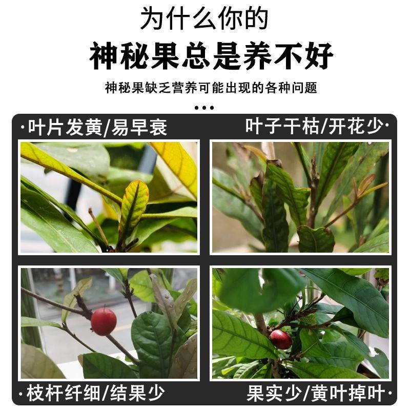 神秘果专用肥营养液变味果肥料植物有机肥料果树有机复合颗粒缓释