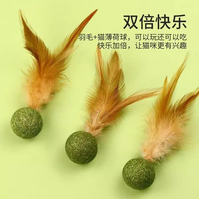 猫玩具磨牙棒羽毛球猫薄荷玲珑球逗猫棒耐咬自嗨解闷神器猫咪用品