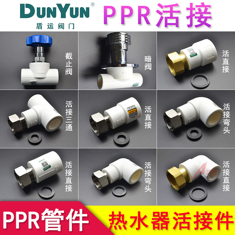盾运4分20 6分25PPR水管管件配件家用自来水热熔暖气热水器活动接图片