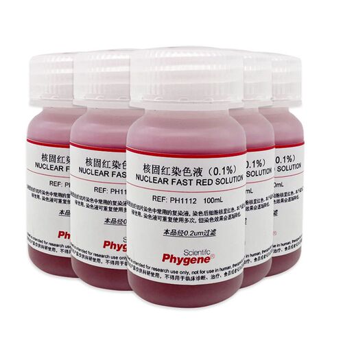 0.1%核固红染色液 Nuclear Fast Red 细胞核染色 PH1112 PHYGENE