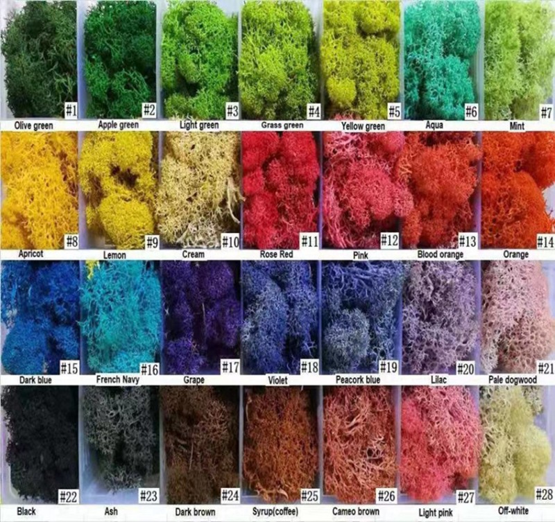 永生苔藓仿真青苔藓草坪场景装饰假苔藓植物墙有杂S质DIY花盒定制