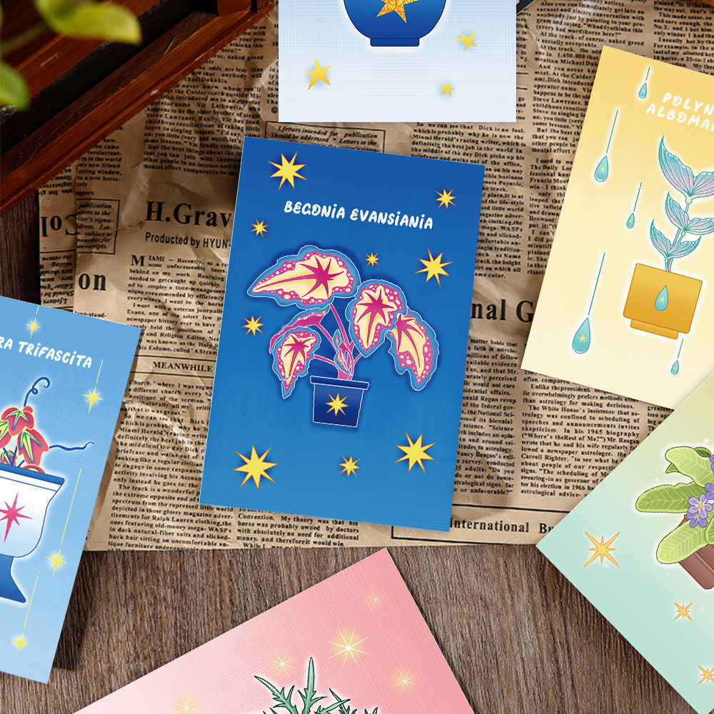 10张卡通魔法植物明信片手绘可爱房间桌面装饰DIY贺卡卡片