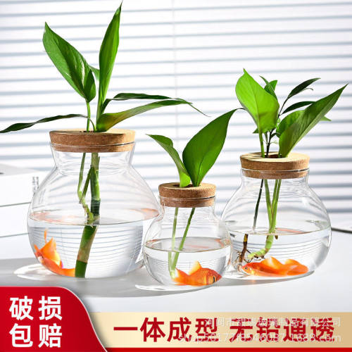 硼硅水培玻璃植物微景观桌面花 生态鱼缸斗鱼 小水缸器皿