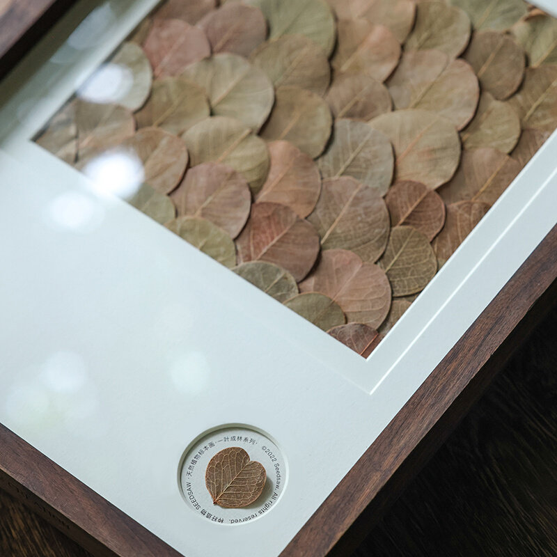 种籽造物一叶成林秋然天然植物标本胡桃木挂画手工押花日式装饰画