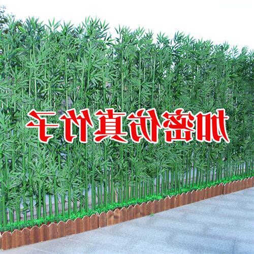 人造仿真竹子屏风隔断室外大粗毛竹客厅盆栽景观装饰塑料假竹子