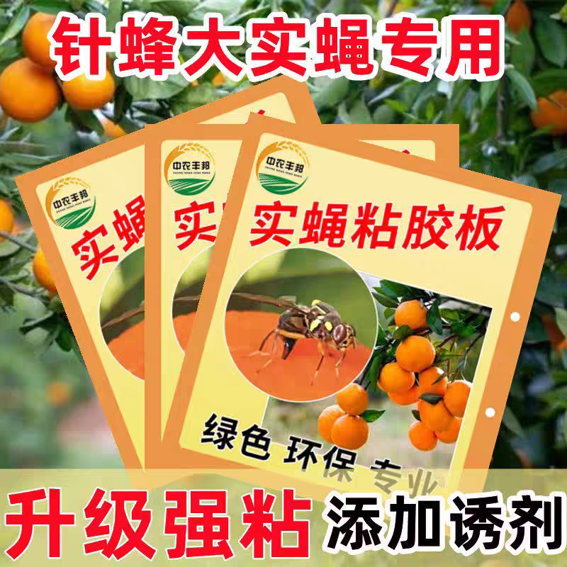 果蝇粘虫板瓜果实蝇粘胶板针蜂贴黄板诱捕器瓜实蝇粘纸特粘大实蝇
