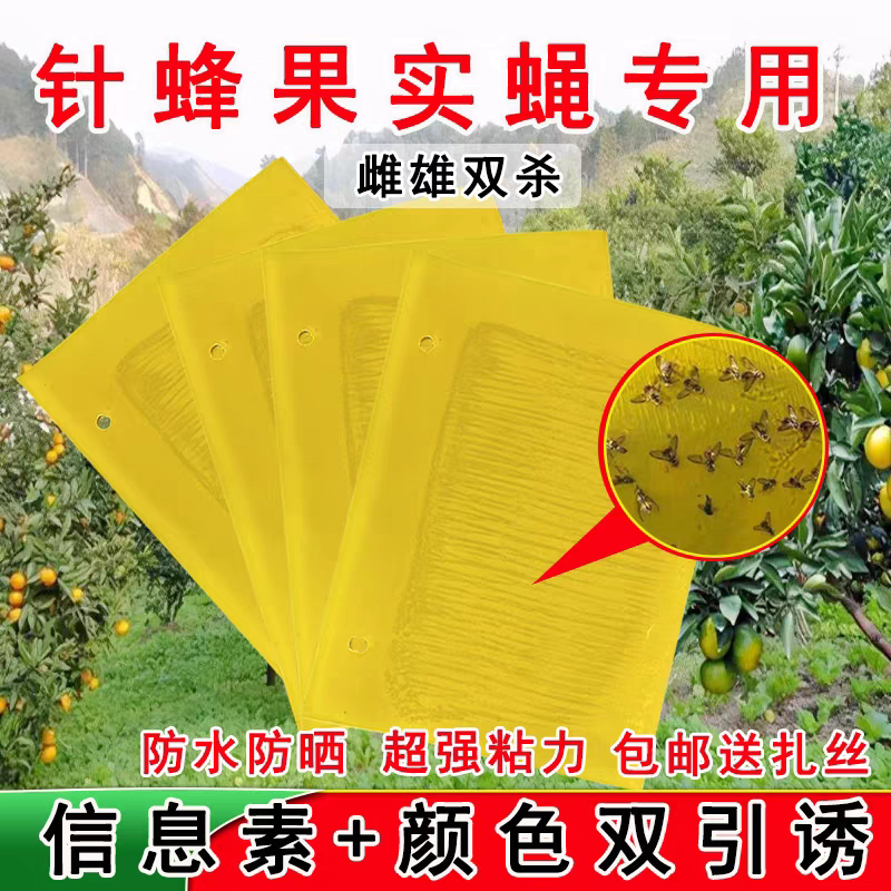 针蜂果粘虫板粘板柑橘大小实蝇实蝇针蜂诱捕器果树瓜果园专用防水