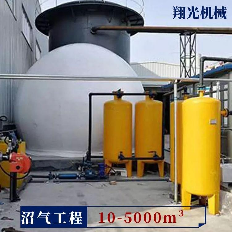 脱硫设备 沼气净化配套设备 大型沼气干式脱硫进出气口浓度 翔光