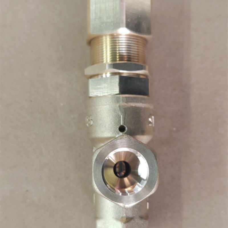 SVL28国产安全o阀养殖场美联梅尔伯格中央清洗机配件泄压阀