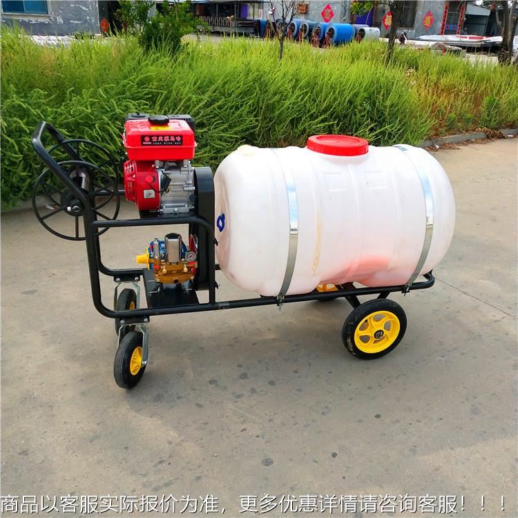 市政园林打药移动电动喷雾机 果树农用打药机 汽油喷药机