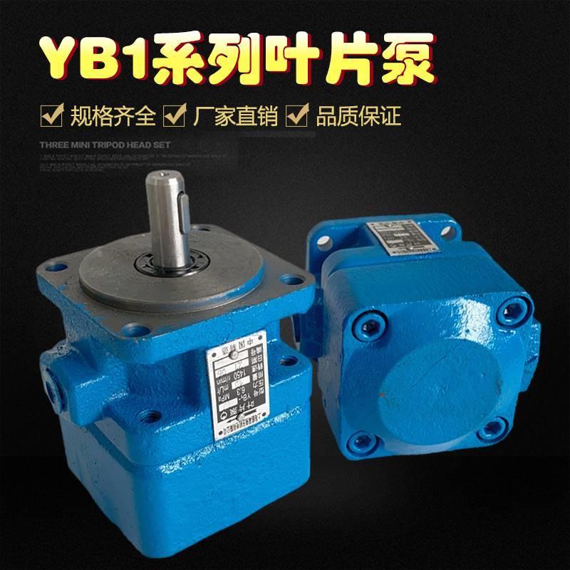 新品液压叶片泵YB1-10YB1-6YB1-16YB1-4YB1-100中高压定量油泵-封面