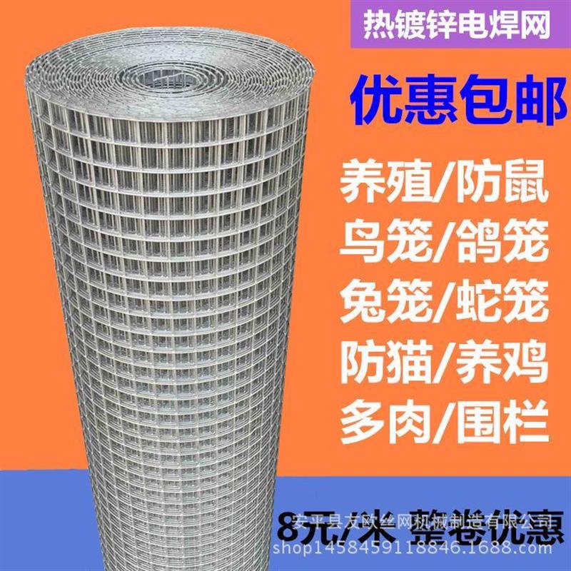 热镀锌电焊网 果园围栏网 铁丝网 防鼠网 鸡笼兔笼鸟笼鸽笼养殖网