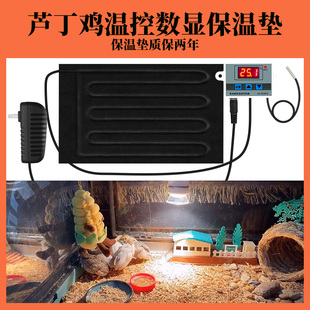 芦丁鸡保温灯鹌鹑取暖灯爬宠晒背灯鹦鹉加热垫宠物小鸡电热保温垫
