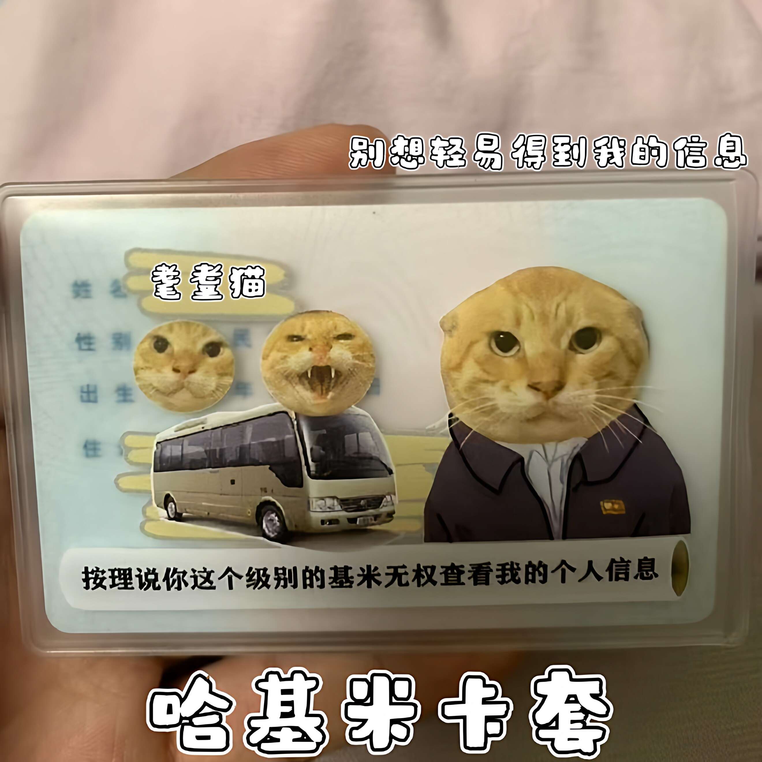 哈基米卡套耄耋猫猫创意PVC身份证保护套隐私保护卡通防消磁卡套
