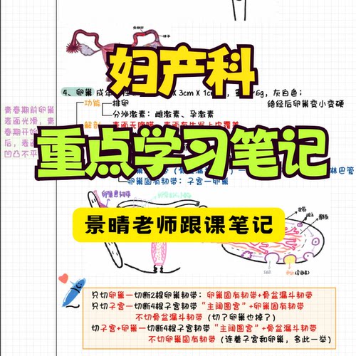 景晴妇产科跟课医学手写笔记全彩色打印版易懂清晰高分必备