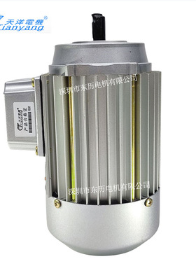 TIANYANG天洋电机YS5612 0.09KW 立式转数2800RPM 3~AS.MOTOR马达