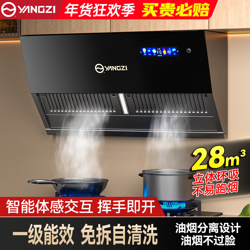 扬子家用厨房低噪音免拆洗侧吸出租房公寓大吸力小尺寸抽吸油烟机