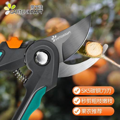 园艺佳园艺花剪粗枝剪刀修枝果树盆栽种植养花工具园林SK5钢剪刀
