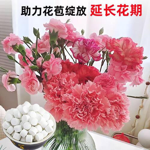 鲜花防臭净水二氧化氯泡腾片84消毒灭菌插花卉切花保鲜剂醒花通用
