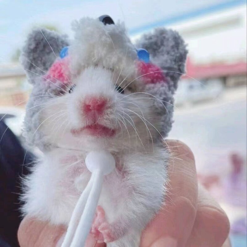 蜜袋鼯花枝鼠仓鼠鹦鹉猫咪毛绒可爱小帽子拍照造型道具