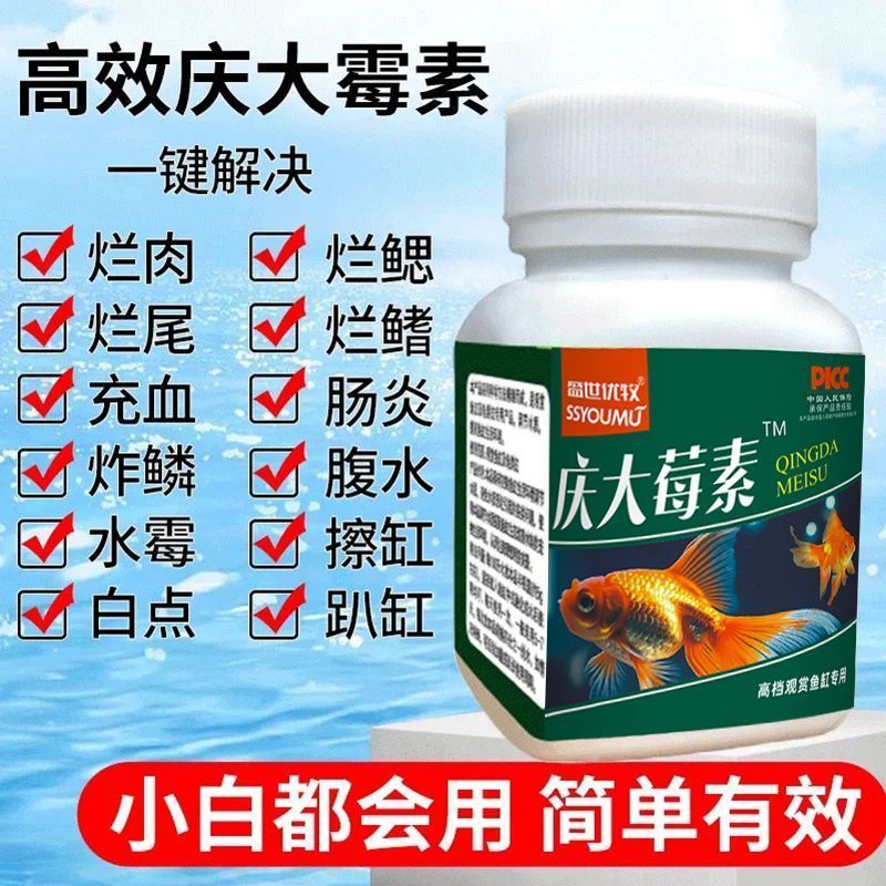 鱼缸专用鱼病粉剂庆大莓素应对充血烂鳃立鳞蒙眼趴缸白点烂尾白毛