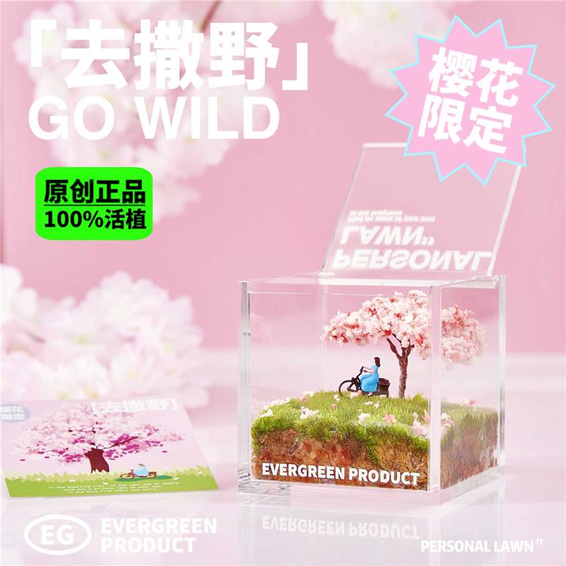 绿州私人草坪苔藓微景观办公桌植物盆栽室内创意绿植懒人好养送礼