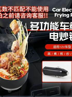 新款多功能户外货车24V车