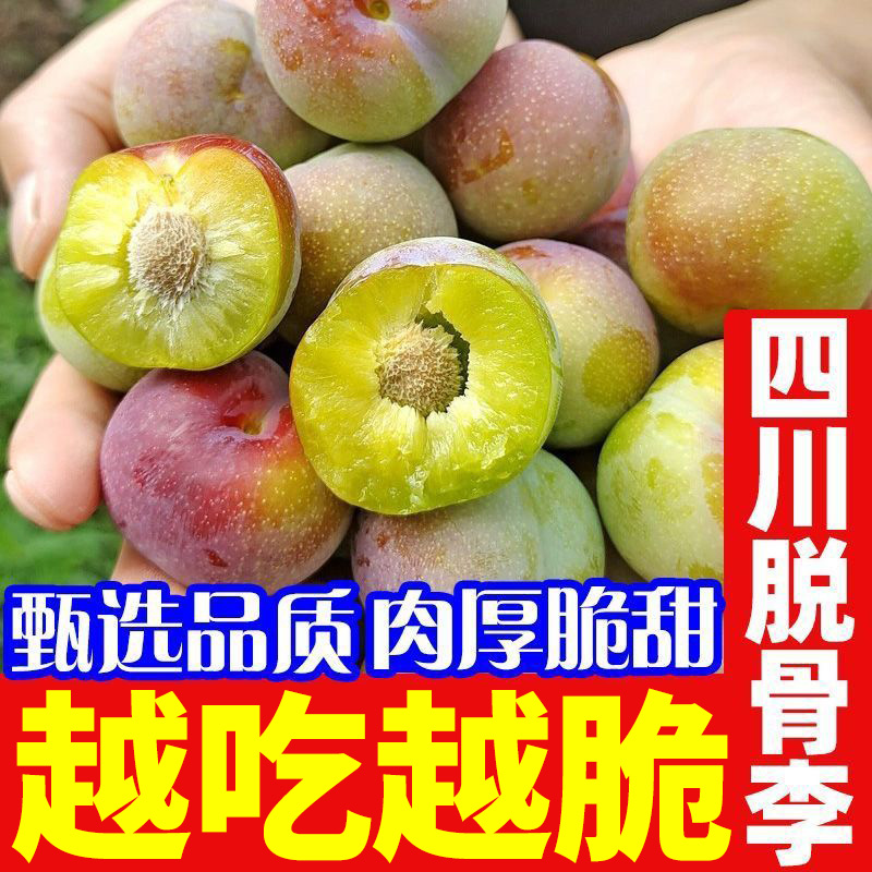 四川脫骨李五月青脆李子應(yīng)季新鮮水果當(dāng)季孕婦大果李子新鮮水果