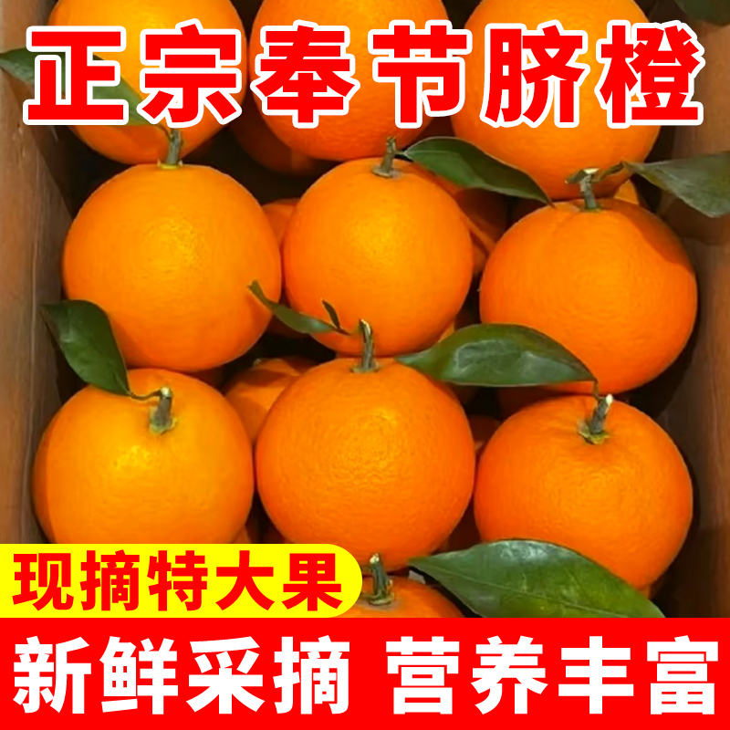 脐橙奉节脐橙个大饱满新鲜好吃