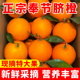 高山奉节脐橙橙子新鲜水果当季 整箱5斤正宗精品大果皮薄10礼盒