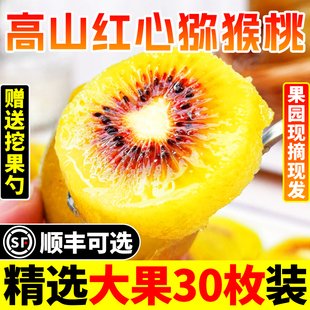 四川正宗蒲江紅心獼猴桃新鮮奇異果30枚裝 現(xiàn)摘彌猴桃大果禮盒 當季