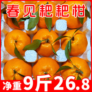 四川正宗春见耙耙柑粑粑柑10斤丑桔橘水果新鲜当季整箱橘子杷杷柑