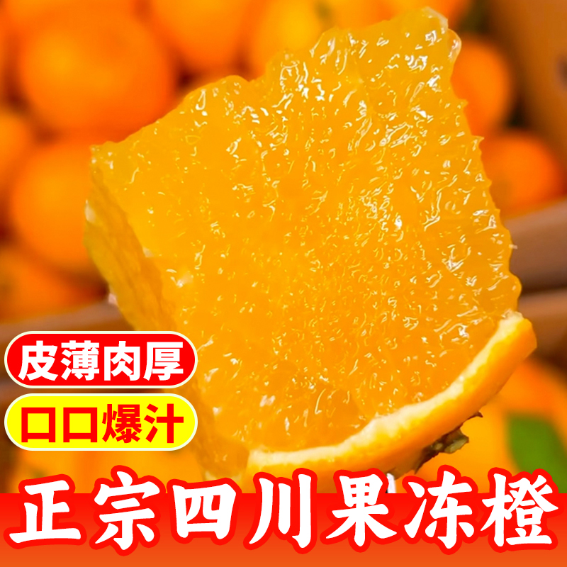 果冻橙小果中果大果任你选