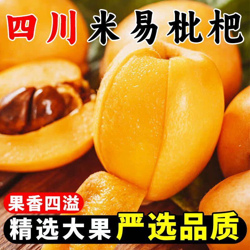 枇杷鲜果枇把生鲜琵琶大五星现摘整箱攀枝花米易枇杷果