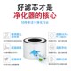 P滤芯RF 适配美国Levoit空气净化器Core RATC P350 300滤网300S
