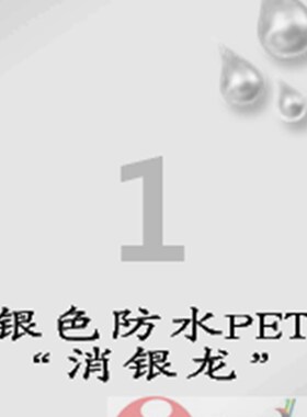 A4不干胶标签/银色防水标签纸/爱雷博PET标签CL61U1SP-100张