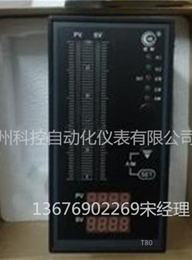 光柱显示仪 WP-TX821-022-2323-N-2P   WHP-T821-011-2323-2L-2P