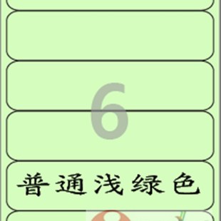 100张 爱雷博C浅绿色标签CL516G A4不干胶标签纸 A4标签纸