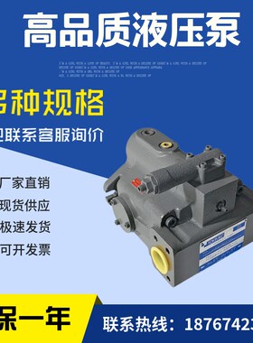 东京Keiki柱塞泵油泵P31AV-FRS-11-C-10-J