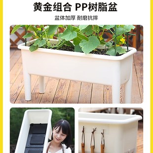 新品爬藤架盆栽西瓜爬藤架种瓜爬藤架阳台花架子番茄黄.瓜支架伸