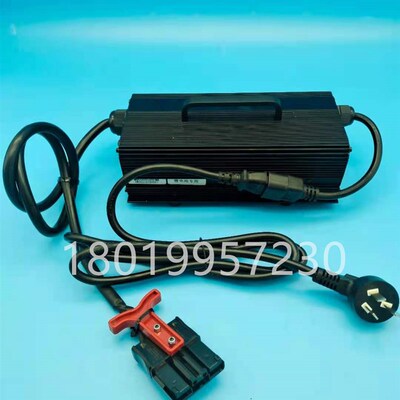 杭叉杭州电动叉车锂电搬运车CBD15-AMC1LJI充电机充电器24V20A配