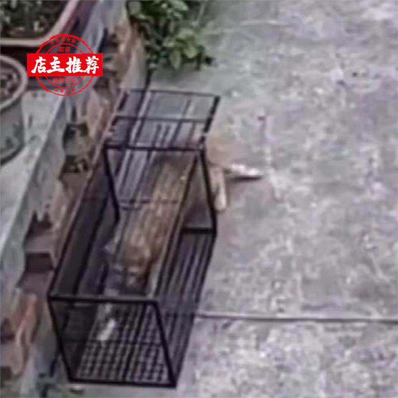1 고양이 잡기 유물 마우스 클램프 대형 철 케이지 초대형 고양이 잡기 도구 완전 자동 마우스 케이지 대형 마우스