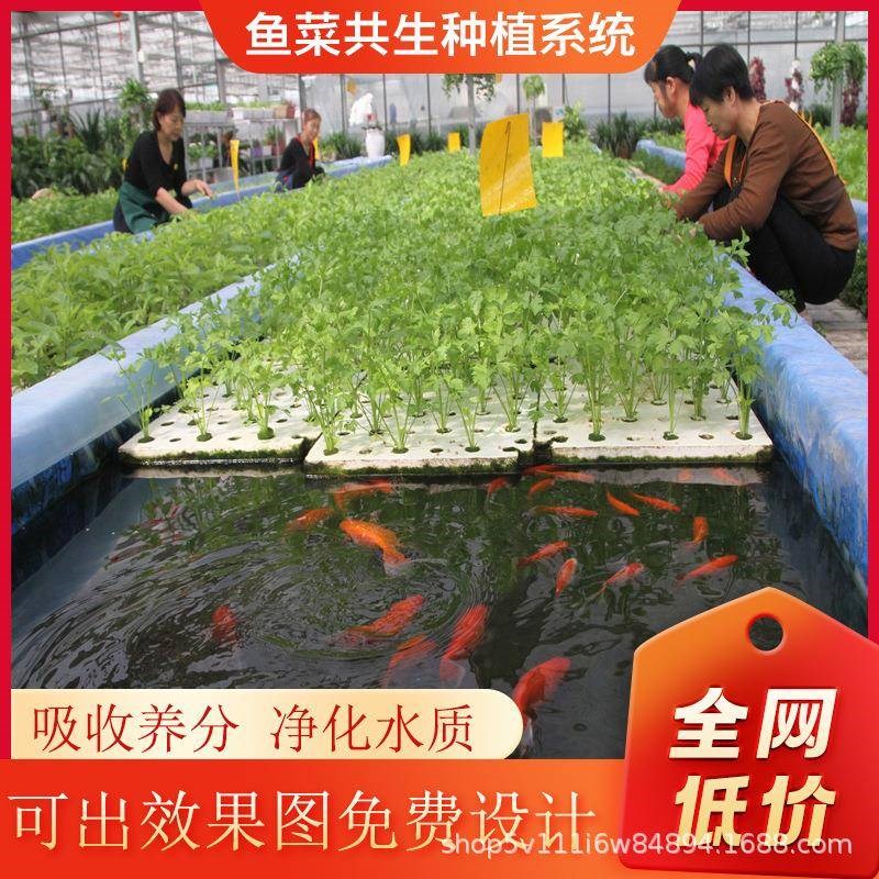 无土栽培系水培种植槽鱼菜共w生种种植统水循环PNF蔬菜种设备立体