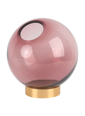 现代简约北欧创意水培透明金属底玻璃花瓶样O板间桌面手工干花花