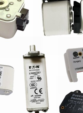 170M5162 170M5163 r170M5164 170M5165 美国bussmann快速熔断器